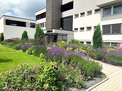 Návrh a realizace předzahrádky u budovy Agro CS v České Skalici