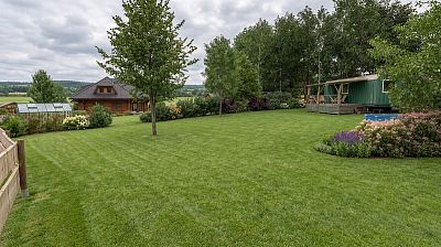 Návrh zahrady u lesa