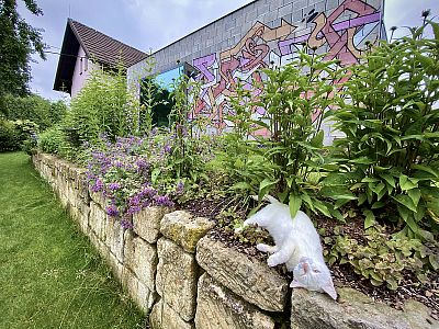 Realizace svažité zahrady u rodinného domu v Dubenci