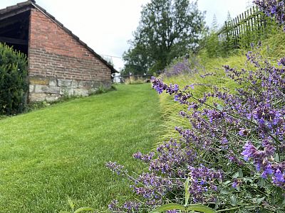 Realizace svažité zahrady u rodinného domu v Dubenci