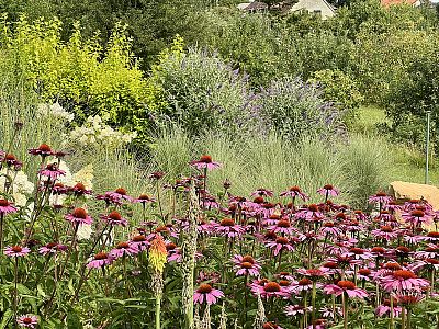 Realizace zahrady ve svahu a instalace automatického zavlažovacího systému v Jaroměři