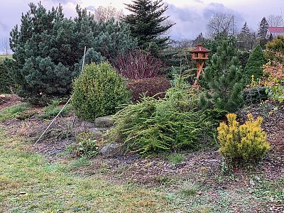 Stavba koupacího zahradního jezírka u rodinného domu ve Velkých Svatoňovicích