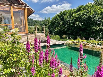 Stavba koupacího zahradního jezírka u rodinného domu ve Velkých Svatoňovicích